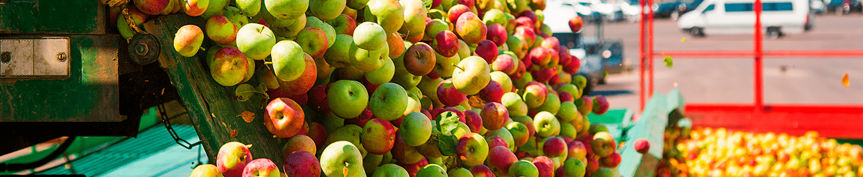 Digitalization of apple picking